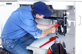 Best Garbage Disposal Repair and Installation  in St Francis, MN